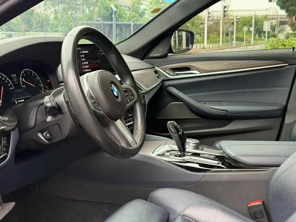 BMW 5 Series 2019