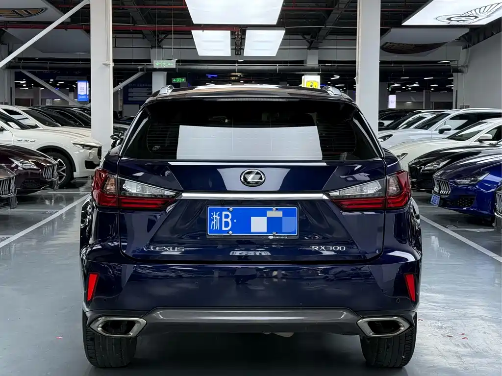 Lexus RX 2017 — фото 12