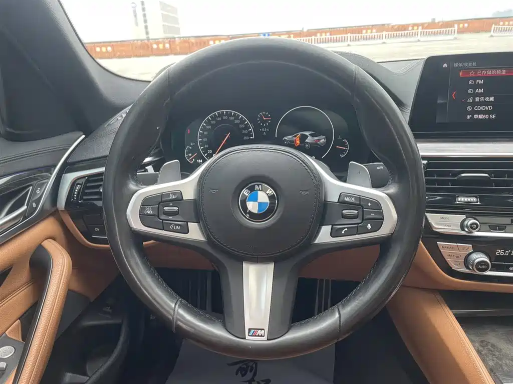 BMW 5 Series 2019 — фото 10