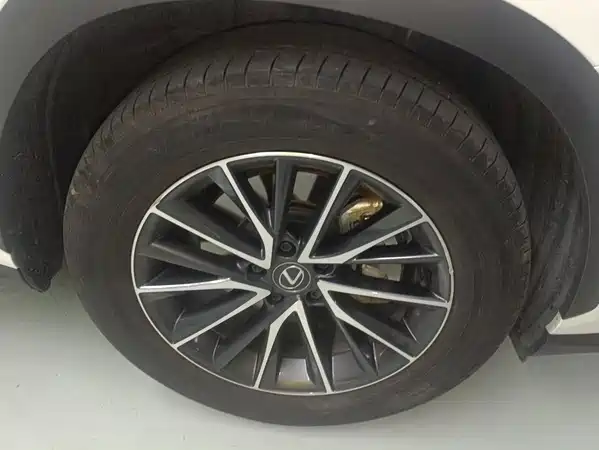Lexus NX 2024