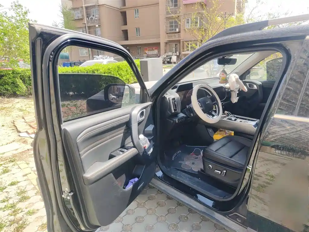 Haval Big Dog 2023 — фото 14