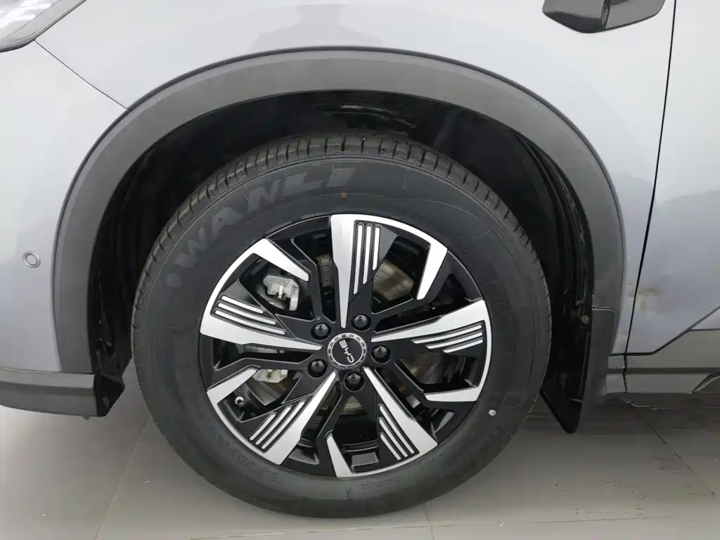 BYD Sealion 05 DM-i 2025 — фото 17