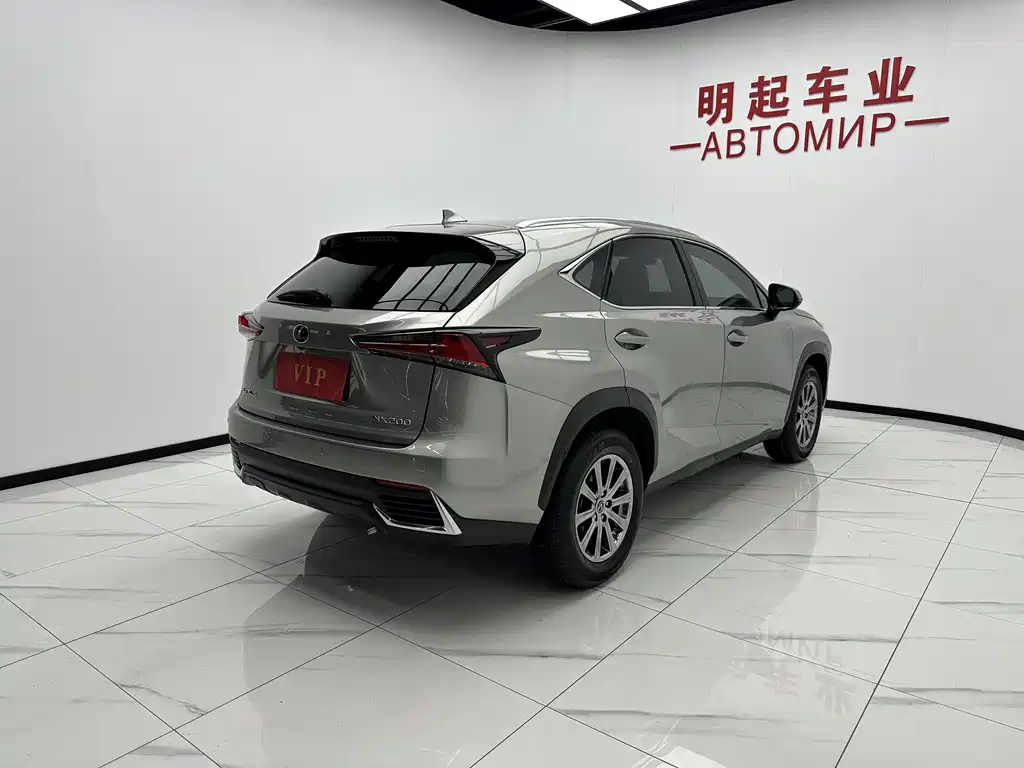 Lexus NX 2020 — фото 9