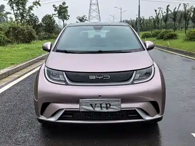 BYD Dolphin 2022