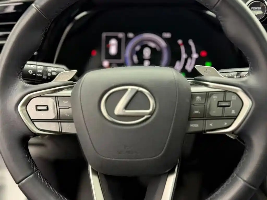 Lexus RX 2024 — фото 15