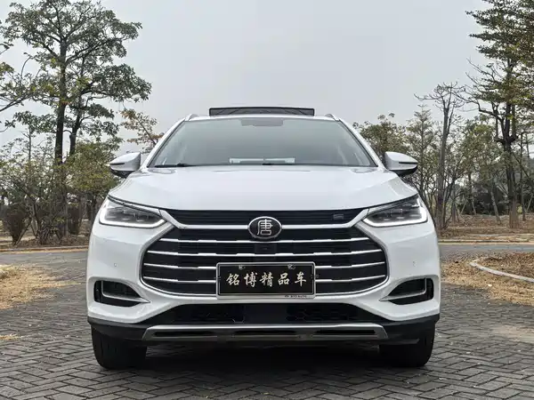 BYD Tang 2019