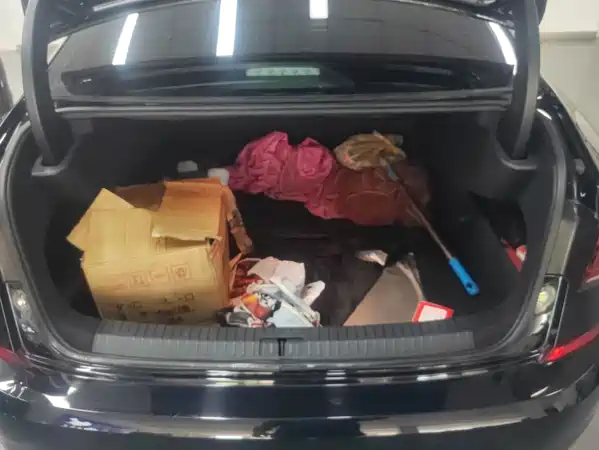 Volkswagen Passat 2024
