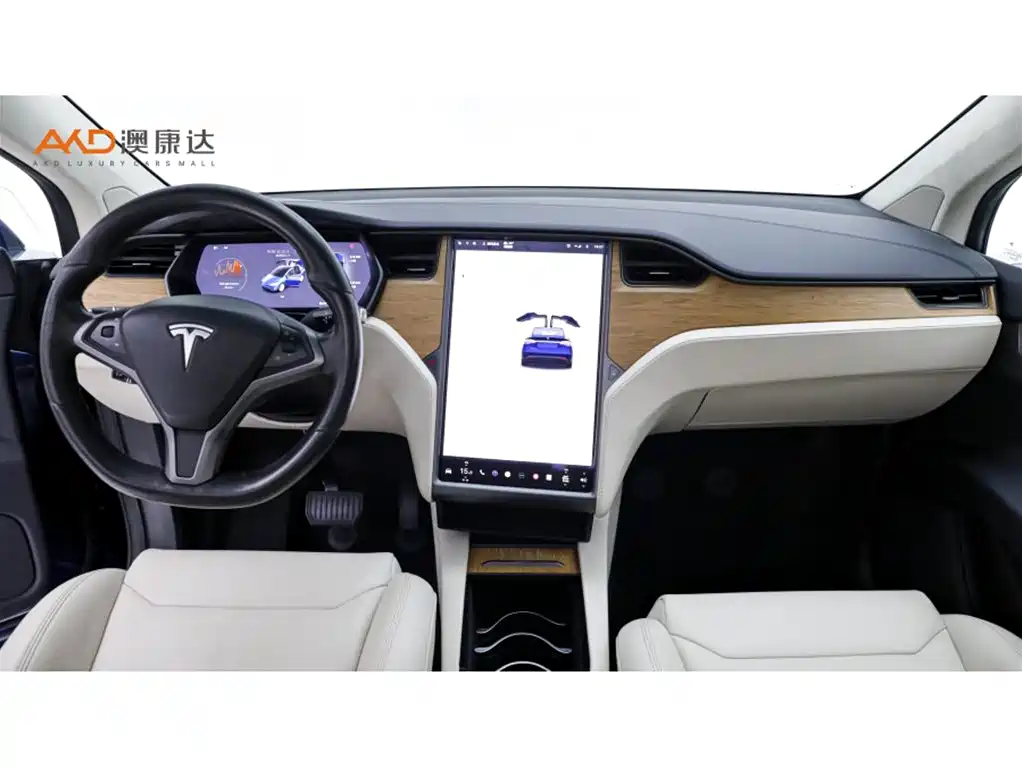 Tesla Model X 2019 — фото 5