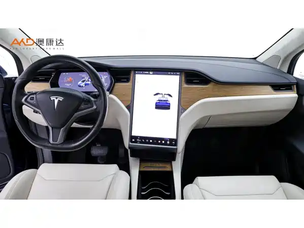 Tesla Model X 2019