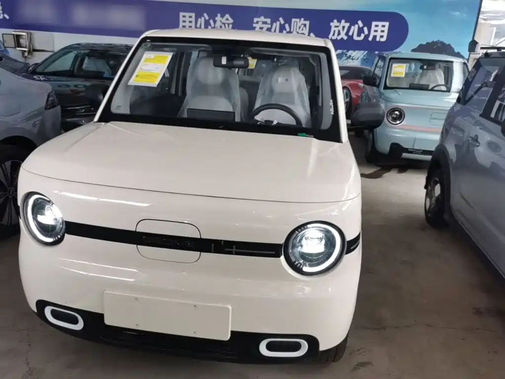 Galaxy Panda 2026