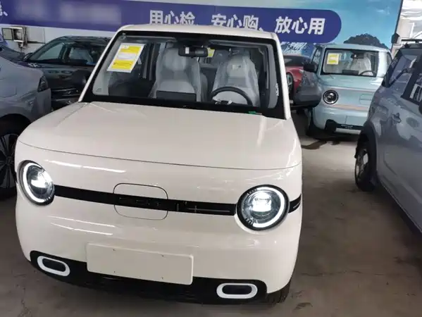 Geely Galaxy Panda 2026