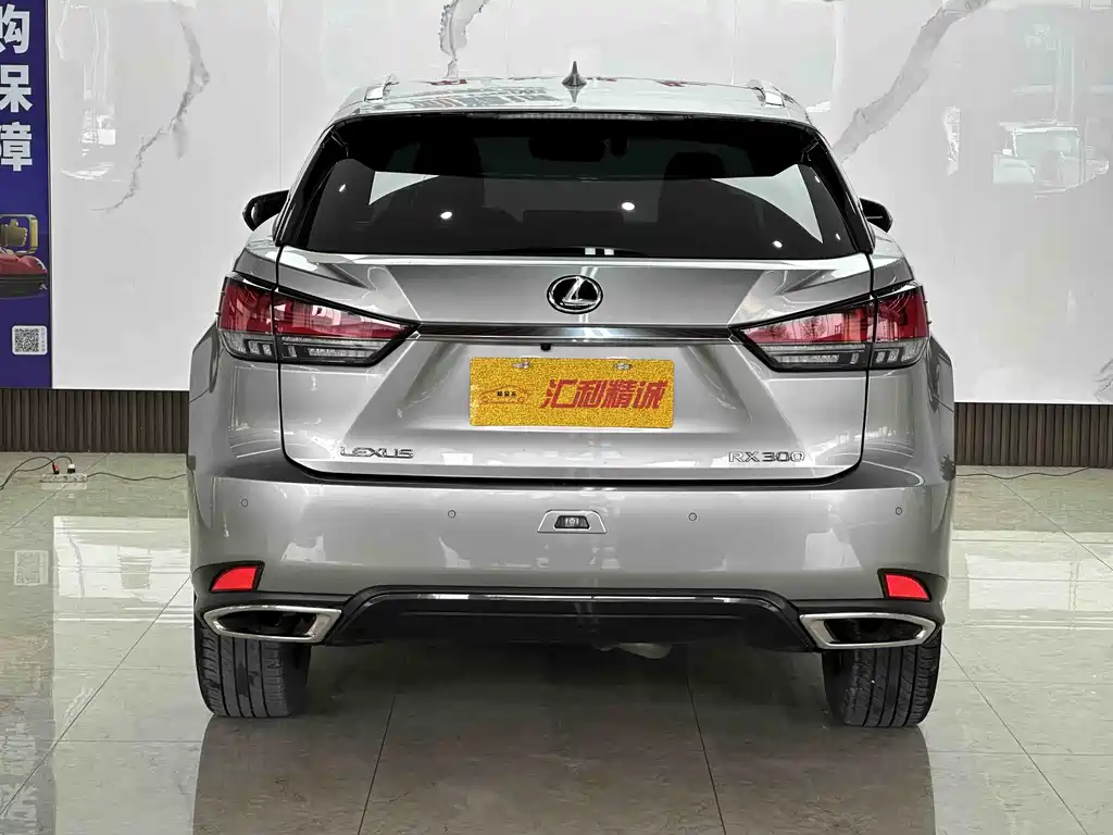 Lexus RX 2022 — фото 19