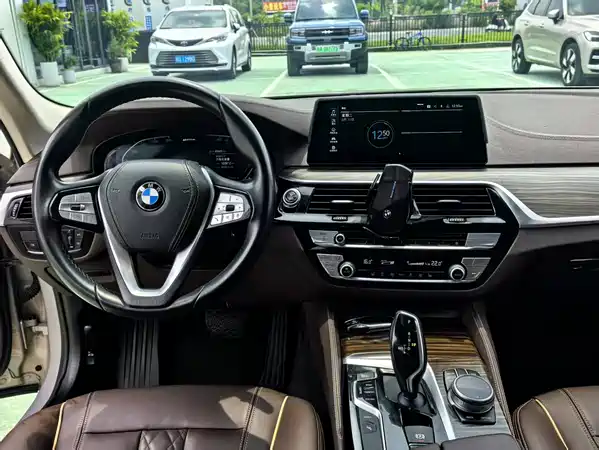 BMW 5 Series New Energy 2020