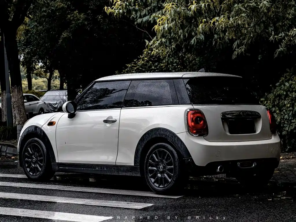 MINI MINI 2017 — фото 10
