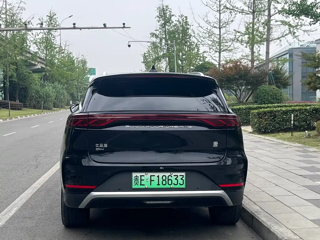 BYD Tang New Energy 2025 — фото 16