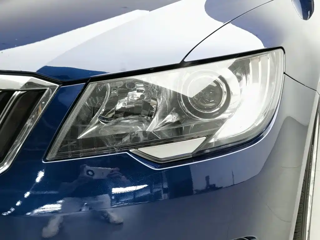 Skoda Speedy 2015