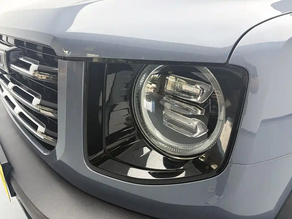 Haval Big Dog 2021 — фото 10