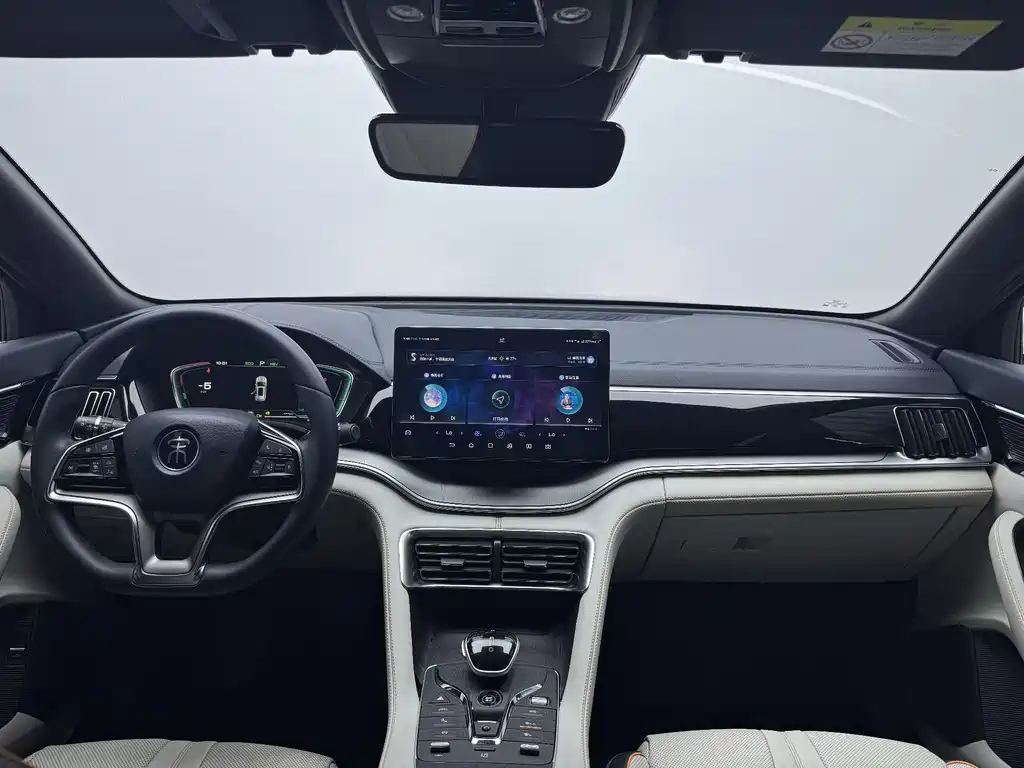 BYD Song PLUS New Energy 2023 — фото 7