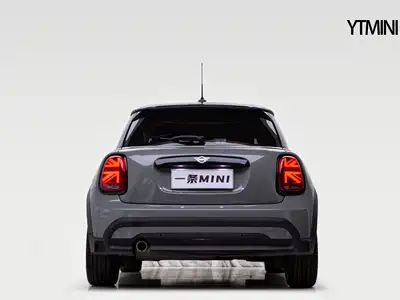 MINI MINI 2021