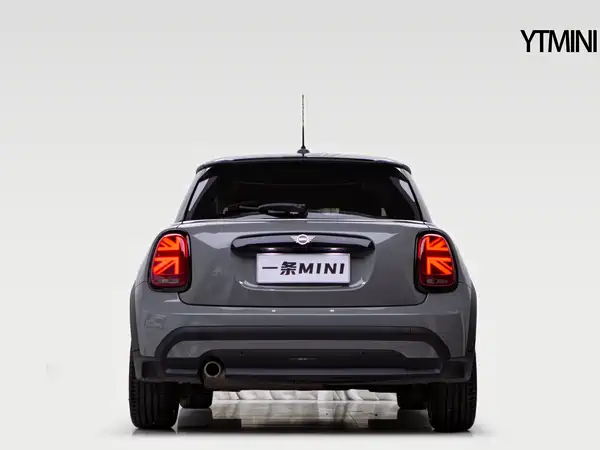 MINI 2021