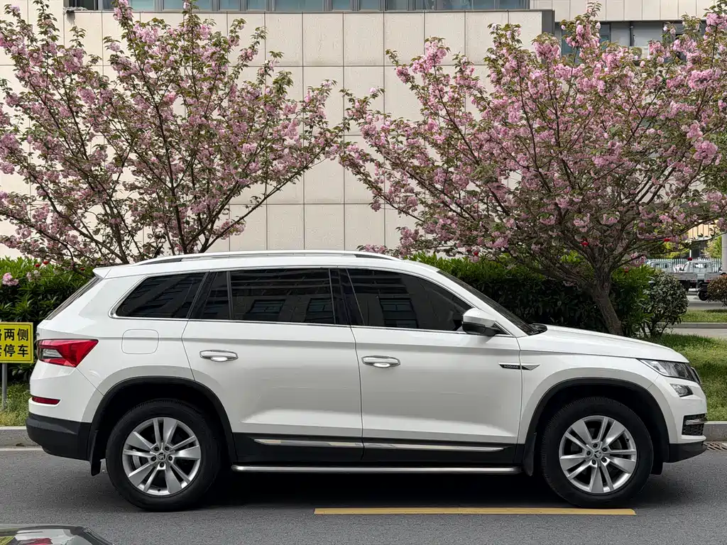 Skoda Kodiaq 2018 — фото 8