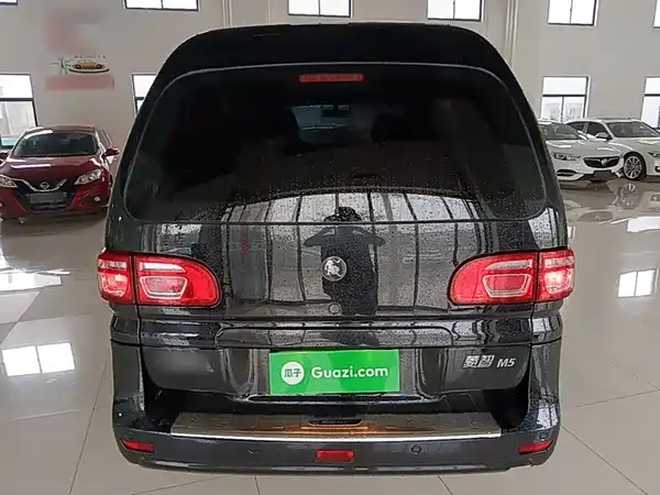 Dongfeng Lingzhi 2024
