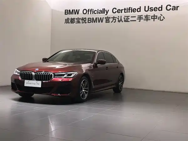 BMW 5 Series New Energy 2022
