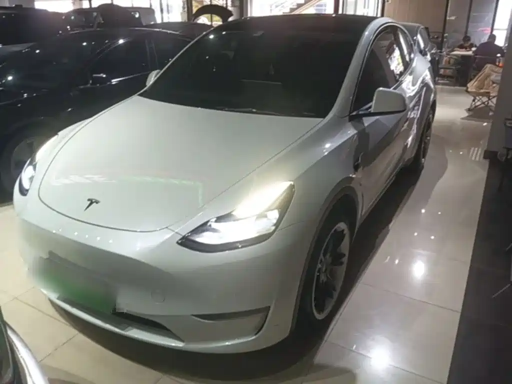 Tesla Model Y 2021 — фото 3