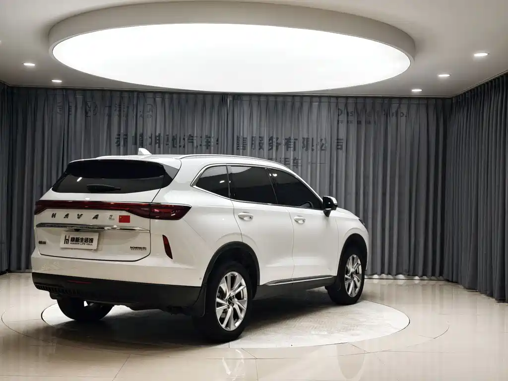 Haval H6 2021 — фото 8