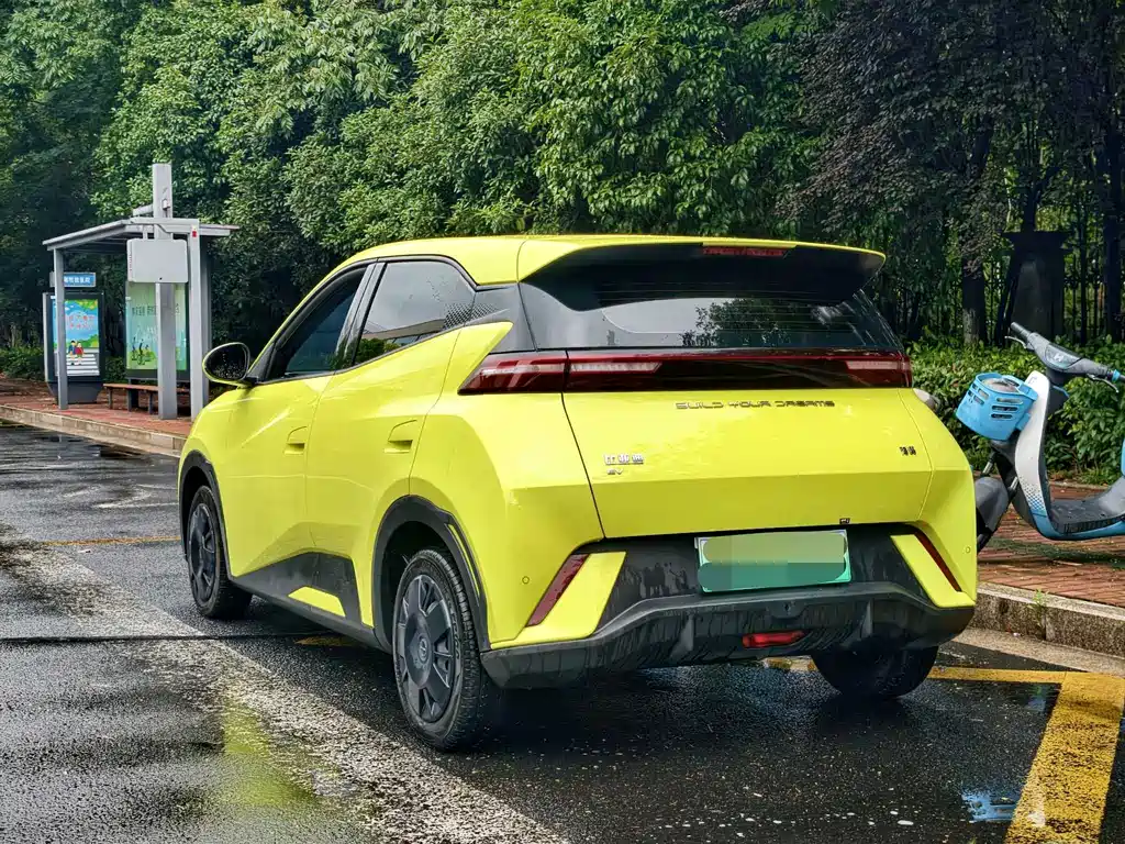 BYD Seagull 2024