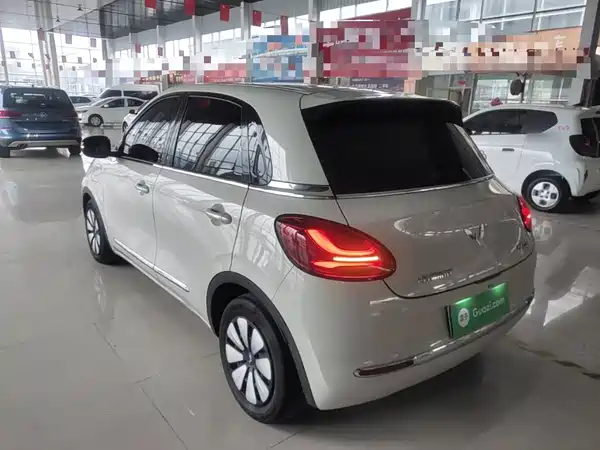 Wuling Bingo 2024