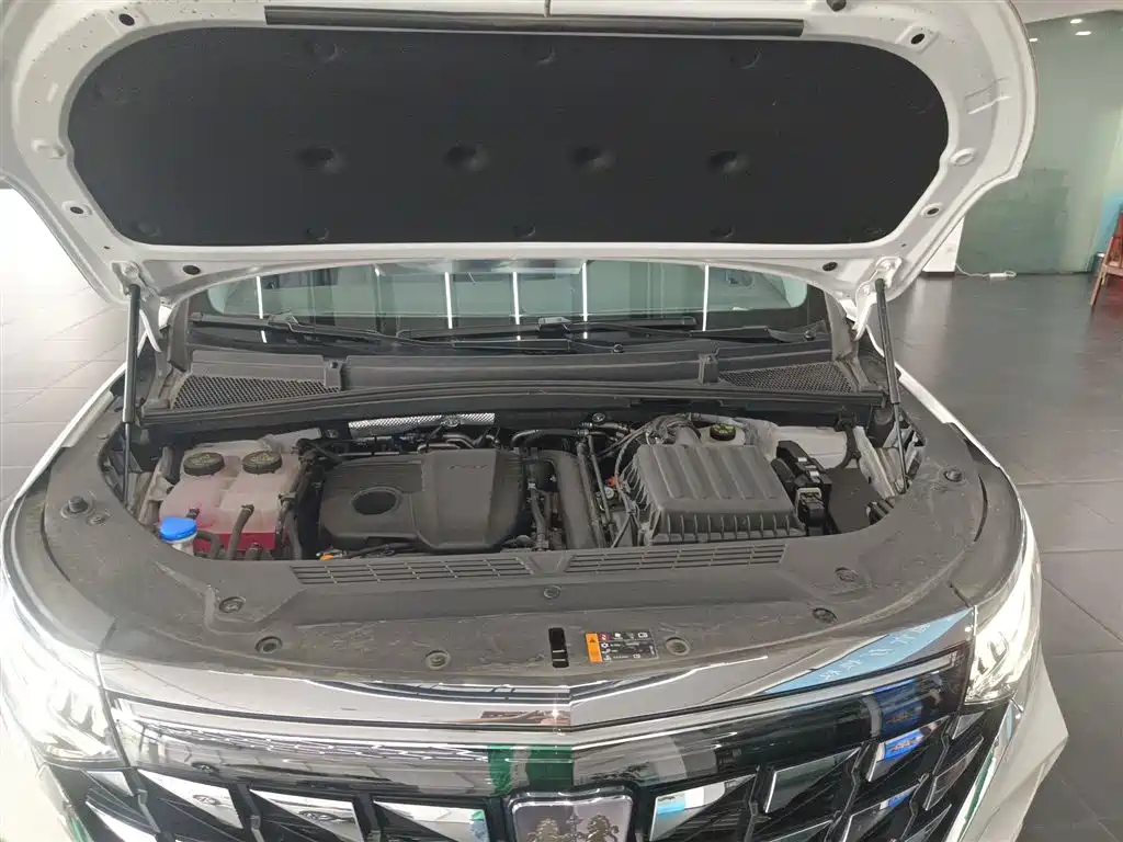 Roewe iMAX8 New Energy 2025 — фото 20