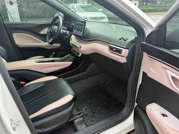 BYD Seagull 2024
