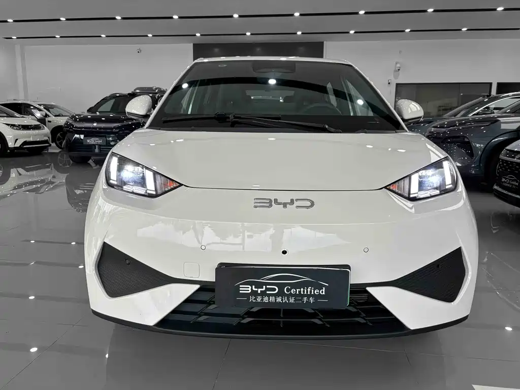 BYD Seagull 2025