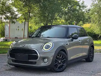 MINI MINI 2019