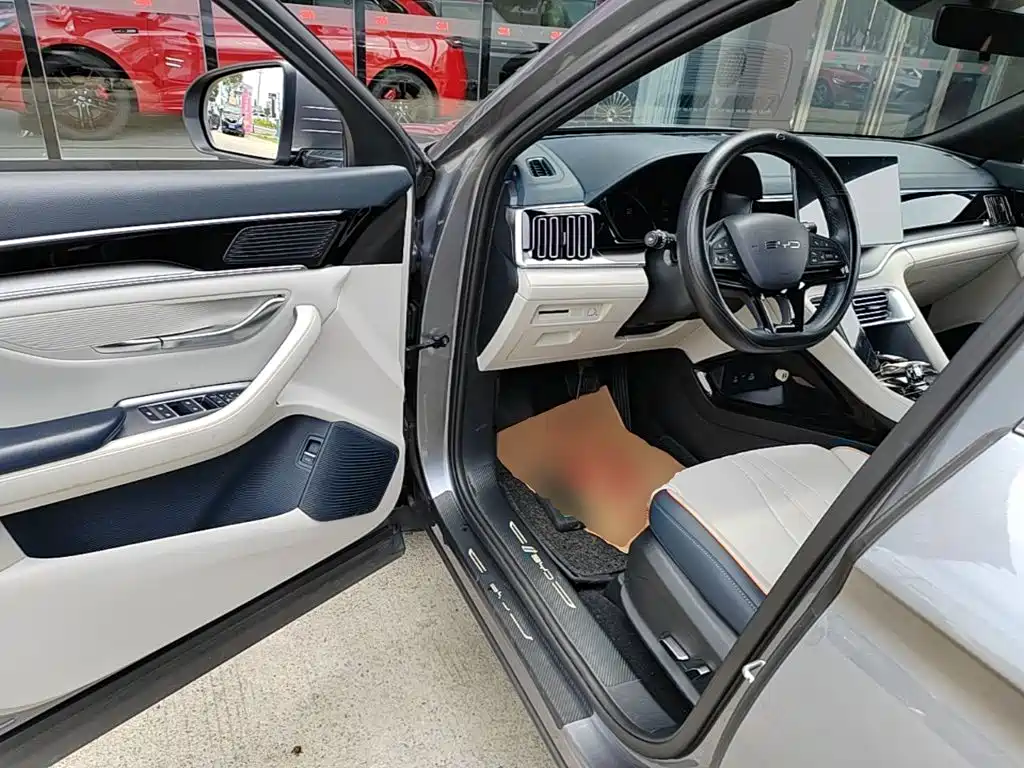 BYD Song PLUS New Energy 2024 — фото 16