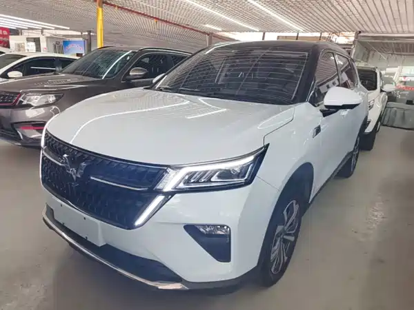 Wuling Star 2024