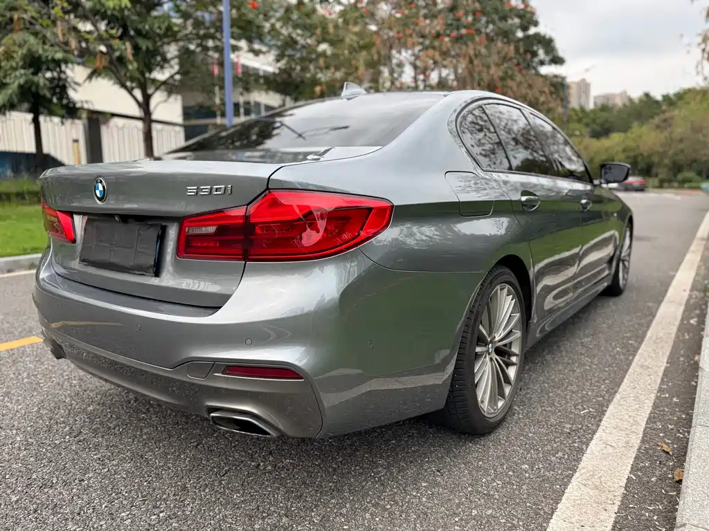 BMW 5 Series 2019 — фото 6