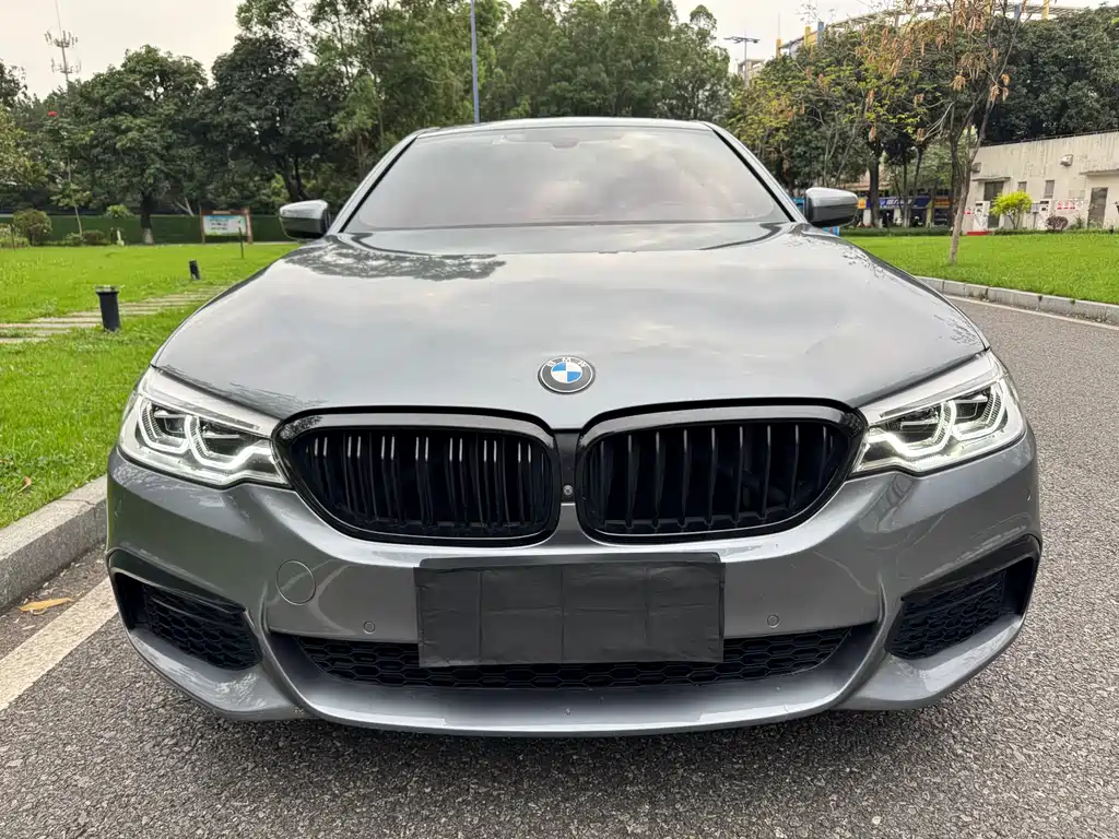 BMW 5 Series 2019 — фото 2