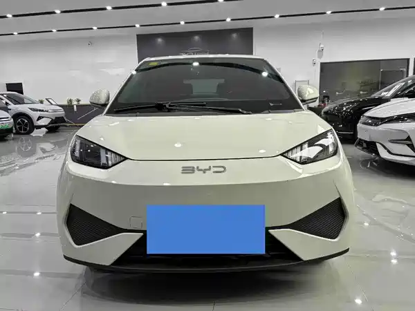 BYD Seagull 2025