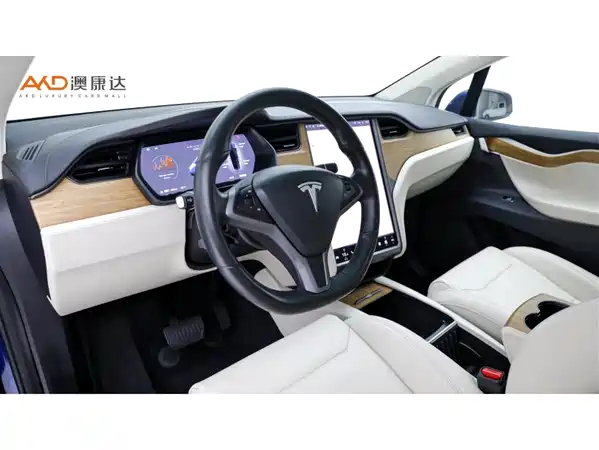 Tesla Model X 2019