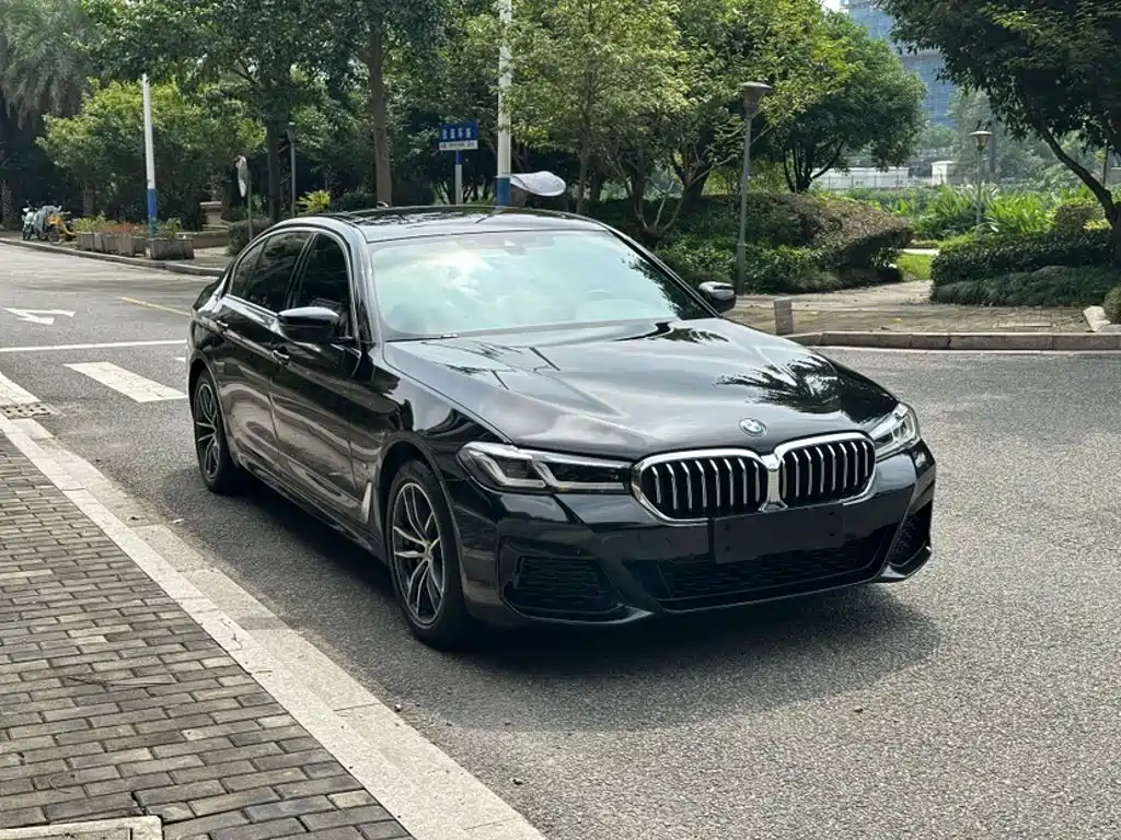 BMW 5 Series New Energy 2022 — фото 8