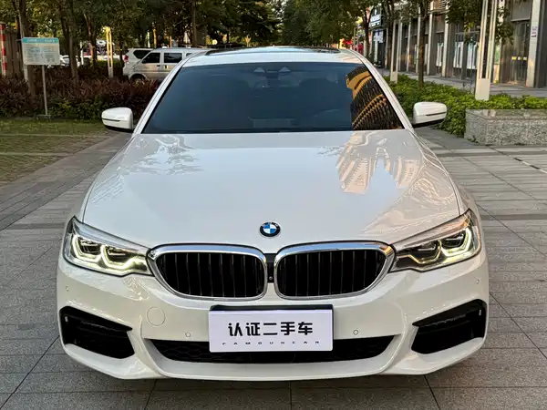 BMW 5 Series 2019