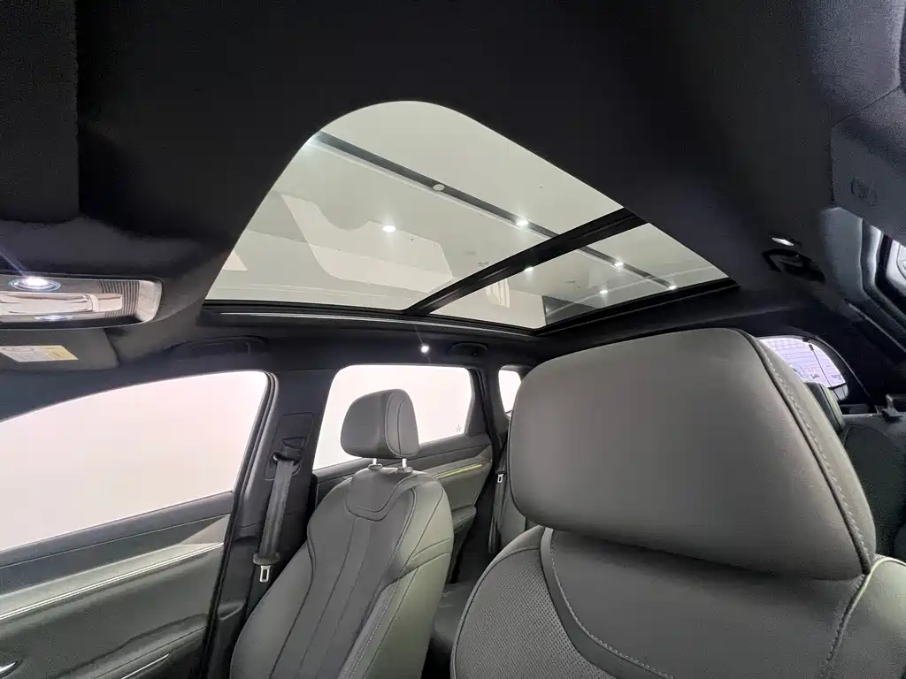 BYD Pro New Energy 2025 — фото 21