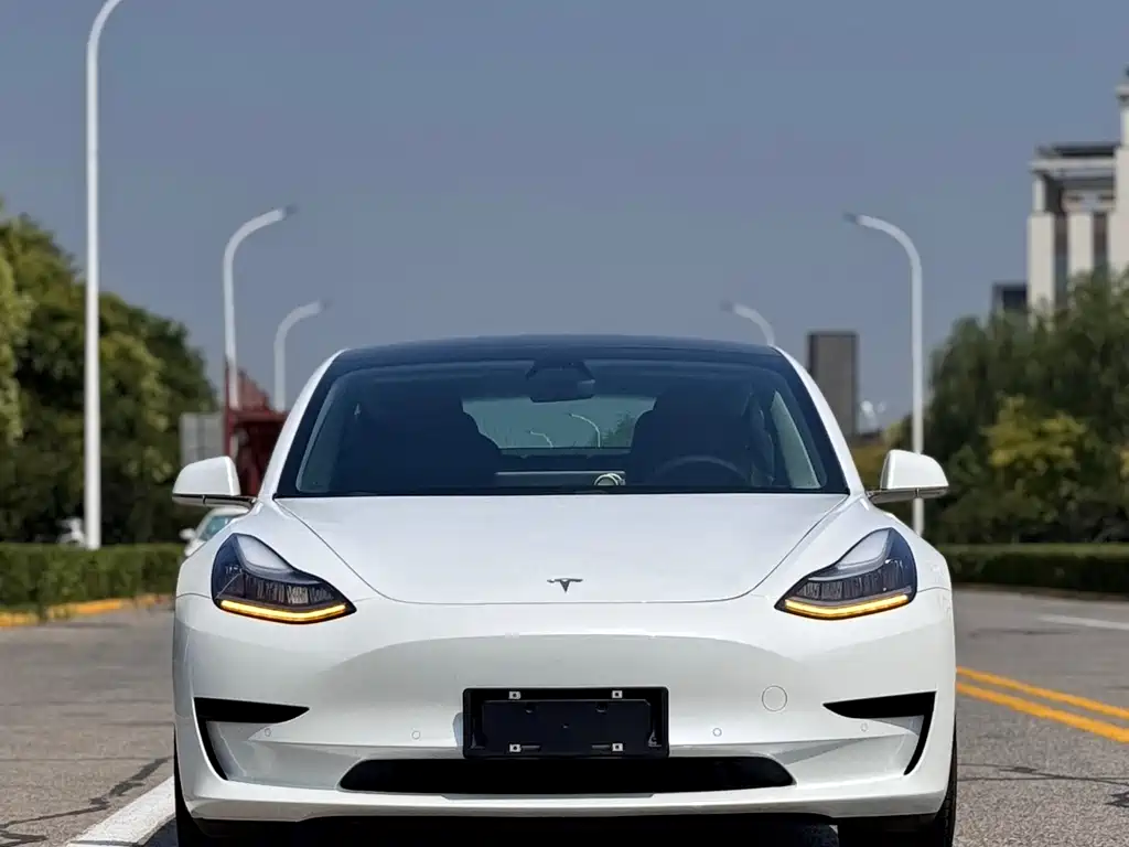 Tesla Model 3 2019