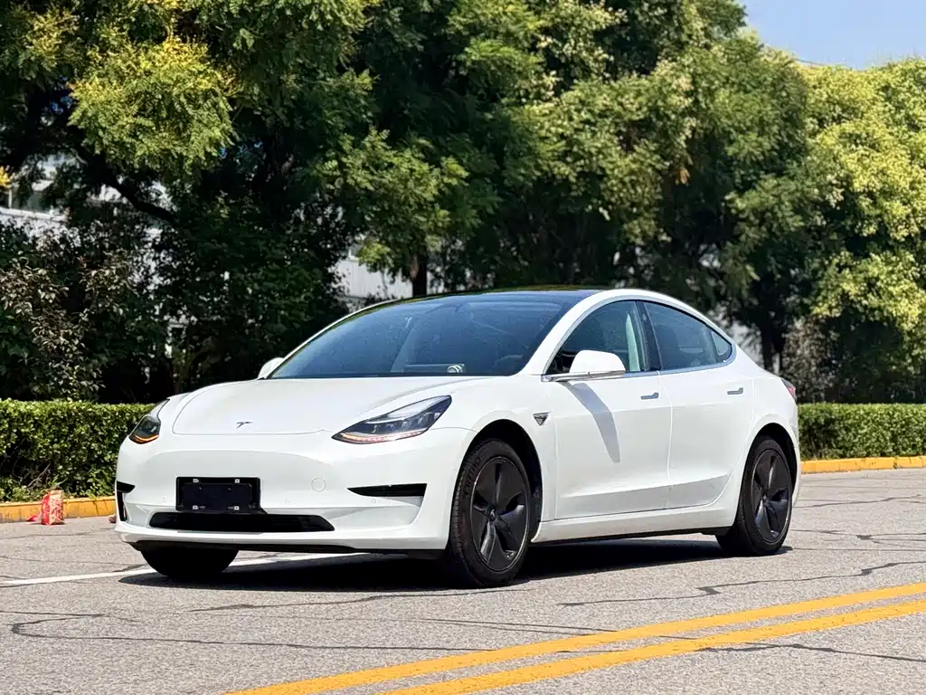 Tesla Model 3 2019
