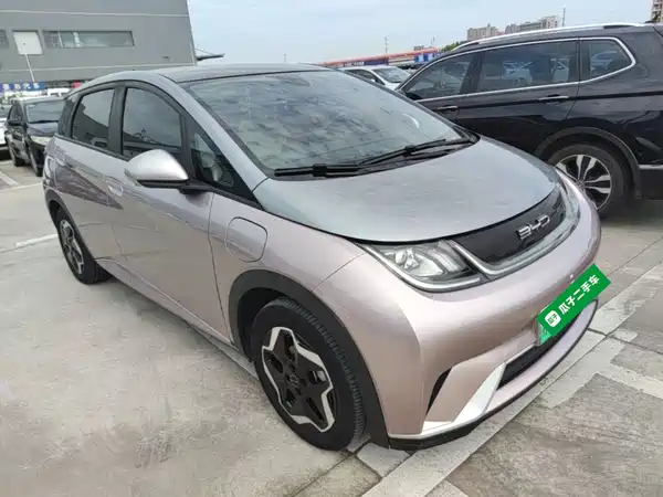 BYD Dolphin 2022