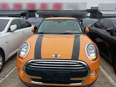 MINI MINI 2014