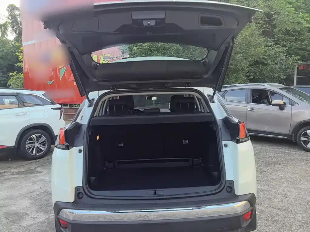 Peugeot 4008 2019 — фото 19