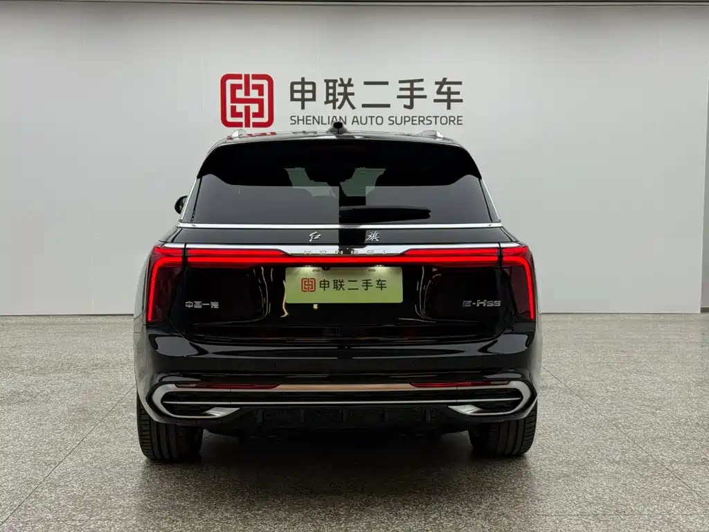 Hongqi E-HS9 2023 — фото 4